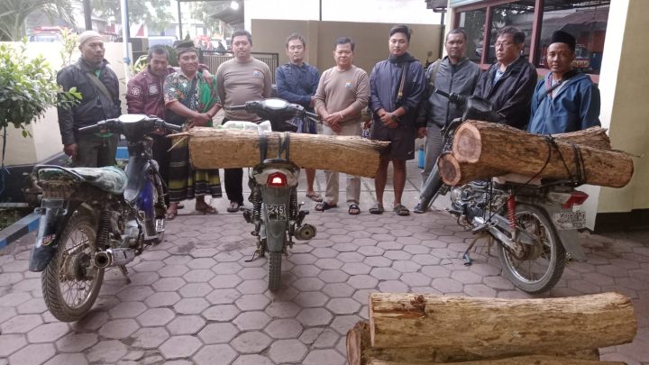 Polisi Amankan Terduga Pelaku Ilegal Logging di Bondowoso
